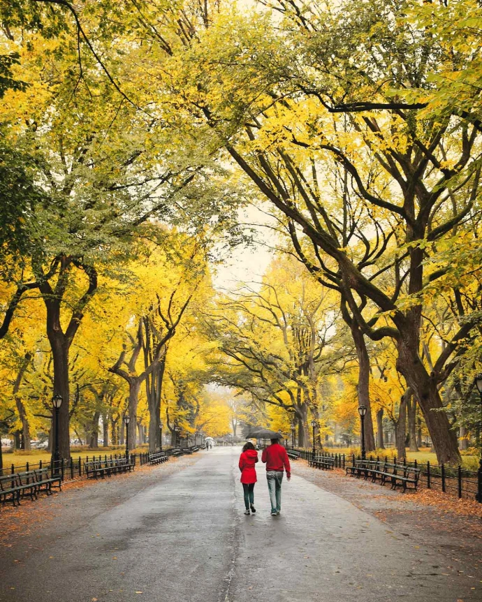 city tour central park